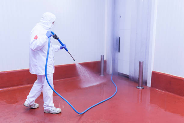 Best Gutter Cleaning and Brightening in Kingsville, TX